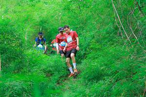 BIB: 
                            <button type="button" onclick="openModal(22094411)" class="btn btn-primary btn-sm float-right btn-popup" data-toggle="modal" data-target=".modal-high-quality">
                        <i class="fas fa-shopping-cart"></i> Add to Cart
                    </button>
                                            <button type="button" onclick="isThisMe(22094411, true)" class="btn btn-success btn-sm float-right btn-popup btn-isme hidden" data-toggle="tooltip" data-placement="bottom" title="นี่คือรูปของคุณใช่ไหม คลิกที่นี่เพื่อเอาเข้าอัลบั้ม">
                        <i class="fas fa-plus"></i> Add to album
                    </button>
                    <button type="button" onclick="isThisMe(22094411, false)" class="btn btn-warning btn-sm float-right btn-popup btn-isnotme hidden">
                        <i class="fas fa-ban"></i> Remove from album
                    </button>